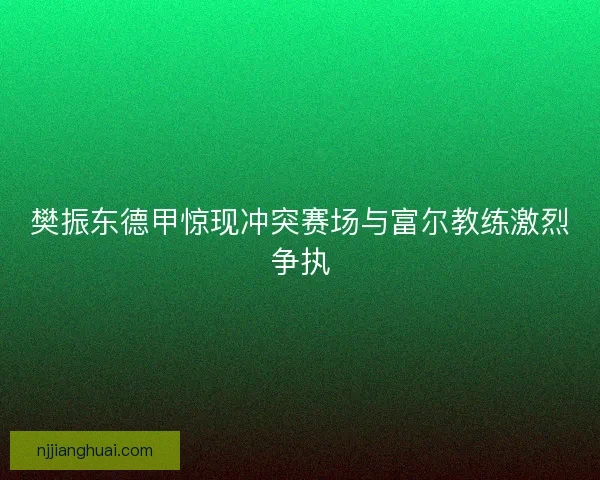 樊振东德甲惊现冲突赛场与富尔教练激烈争执